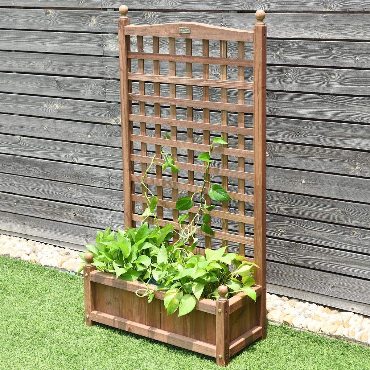 https://img.crazysales.com.au/products_pictures/3117/311777_2700349_F.jpg