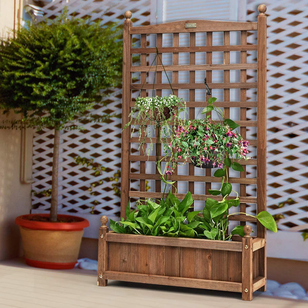 https://img.crazysales.com.au/products_pictures/3117/311777_2700350_F.jpg