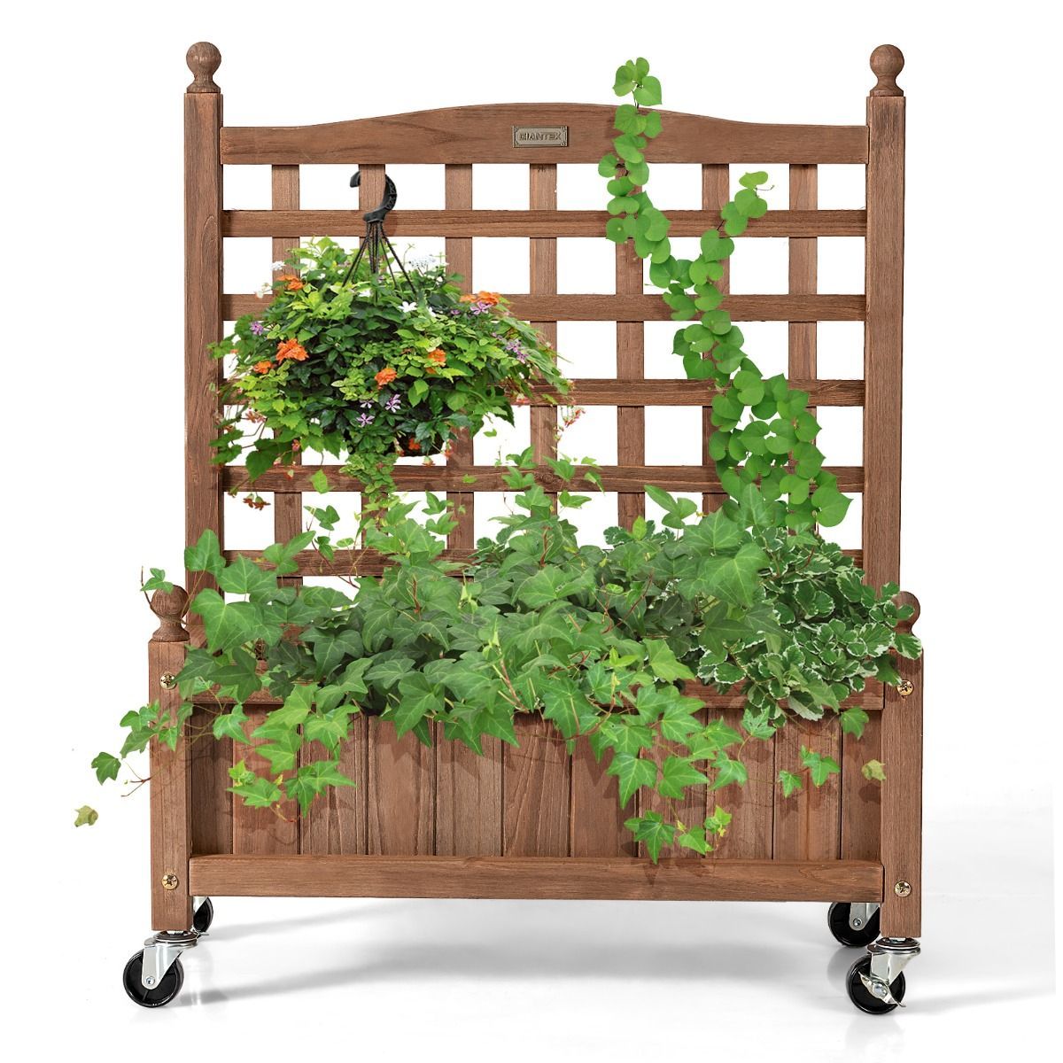 https://img.crazysales.com.au/products_pictures/3117/311780_2700373_F.jpg