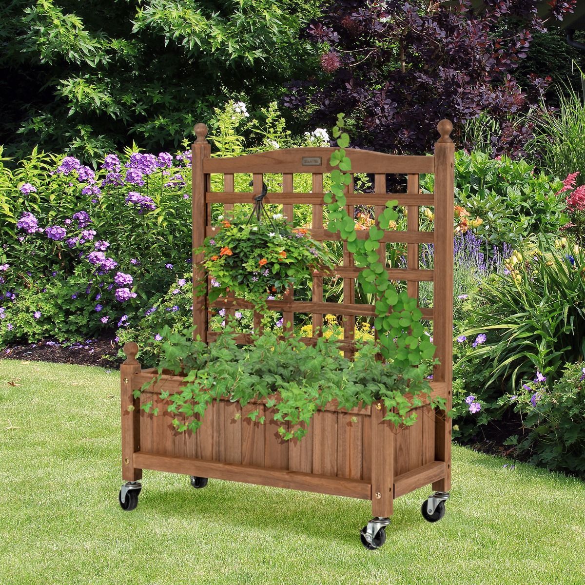 https://img.crazysales.com.au/products_pictures/3117/311780_2700377_F.jpg