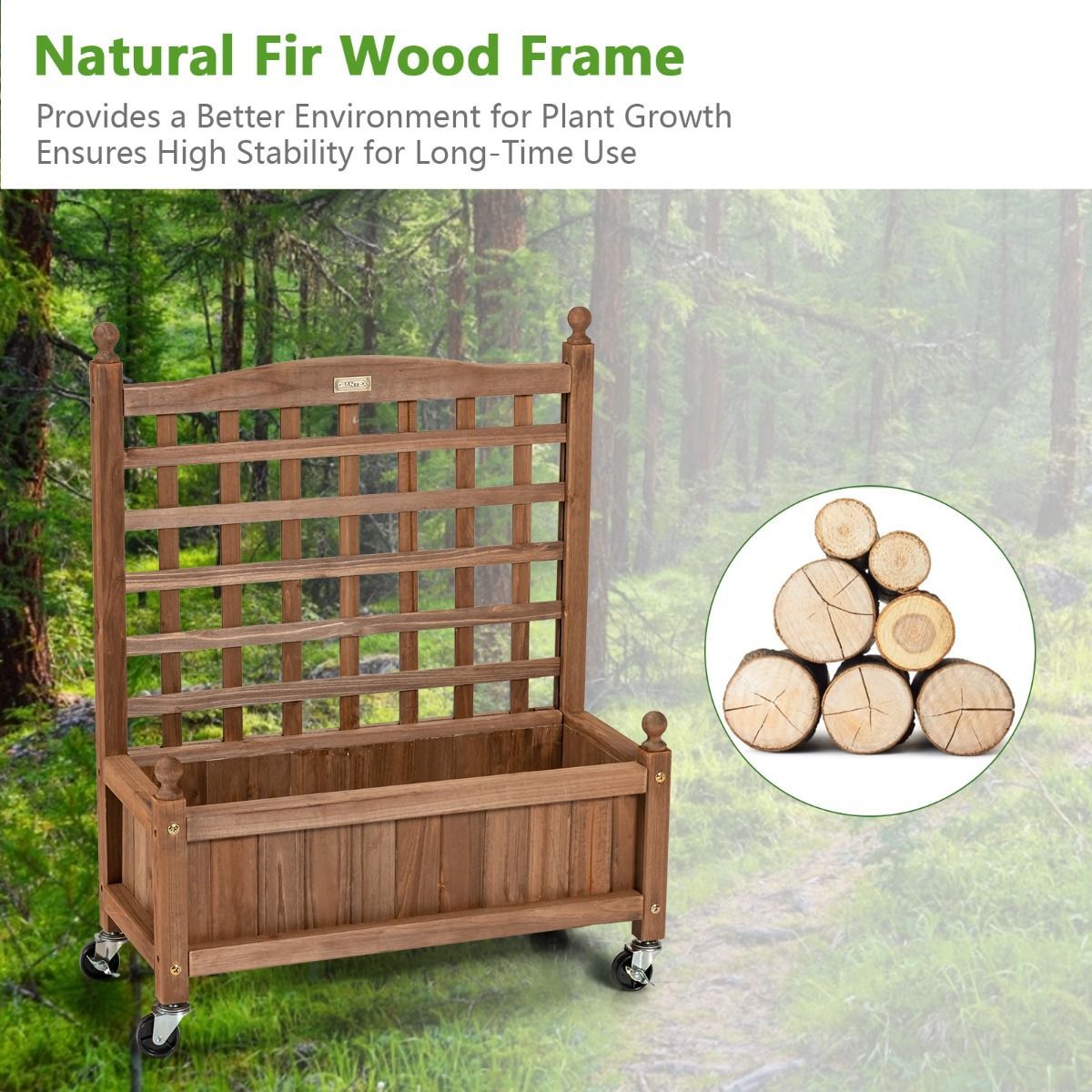 https://img.crazysales.com.au/products_pictures/3117/311780_2700382_F.jpg