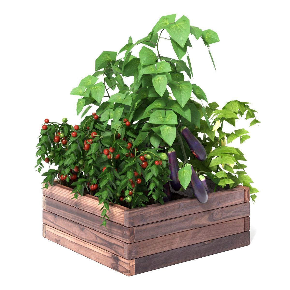 https://img.crazysales.com.au/products_pictures/3117/311786_2700434_F.jpg