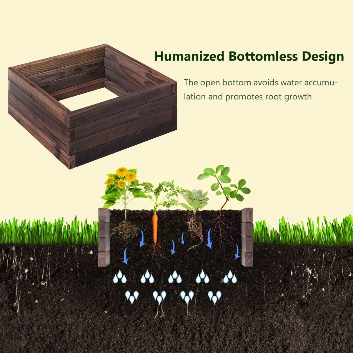 https://img.crazysales.com.au/products_pictures/3117/311786_2700435_F.jpg