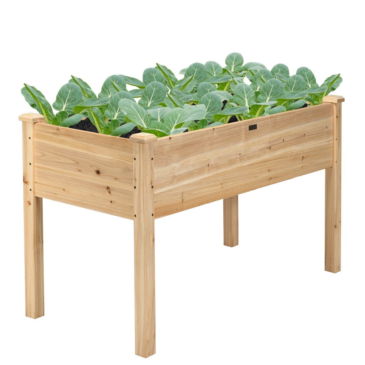 https://img.crazysales.com.au/products_pictures/3117/311789_2700467_F.jpg