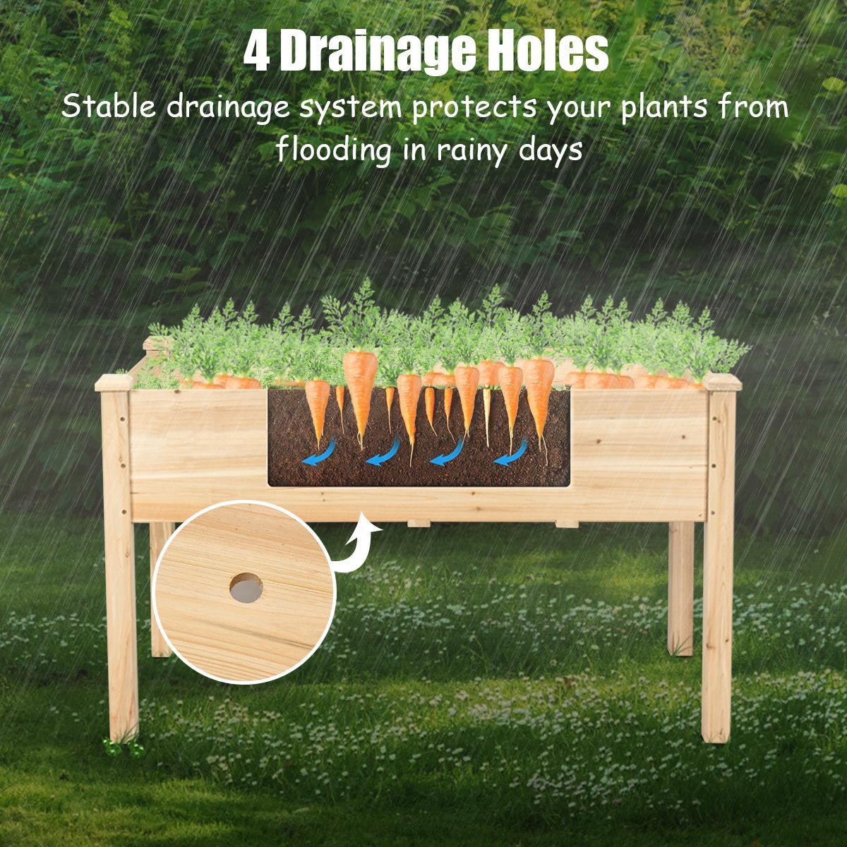 https://img.crazysales.com.au/products_pictures/3117/311789_2700468_F.jpg
