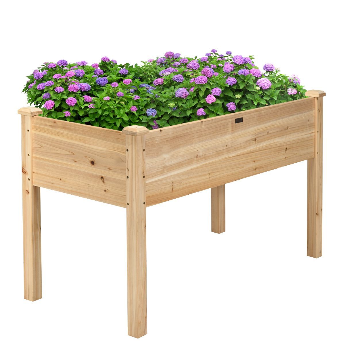 https://img.crazysales.com.au/products_pictures/3117/311789_2700473_F.jpg