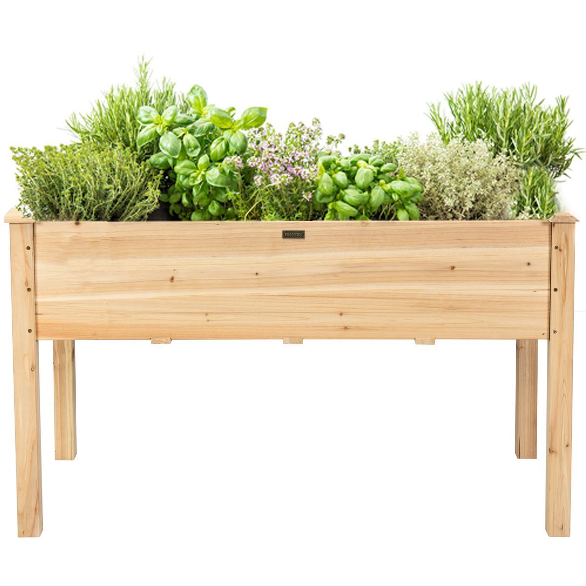 https://img.crazysales.com.au/products_pictures/3117/311789_2700475_F.jpg