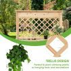 Wood Raised Garden Bed with Trellis & Open Storage Shelf & Drawer