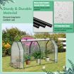 Portable Greenhouse with Roll-Up Zippered Door for Garden