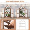 Portable Wooden Mini Greenhouse with Removable Shelves