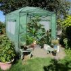 Walk-In Greenhouse Garden Shed Plant Storage Green House Pop-Up Windows