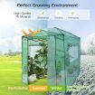 Walk-In Greenhouse Garden Shed Plant Storage Green House Pop-Up Windows