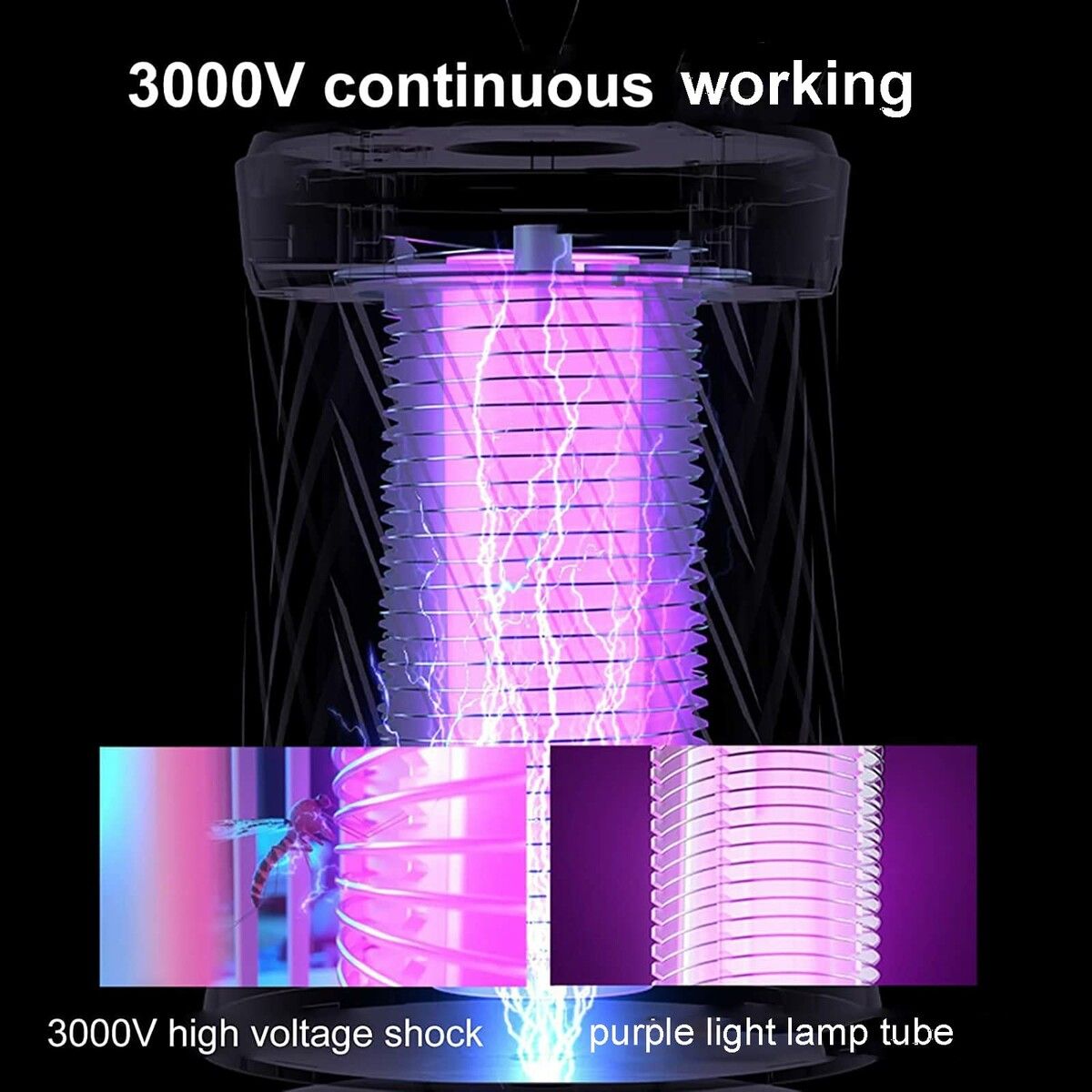 https://img.crazysales.com.au/products_pictures/312/312883_2710840_F.jpg