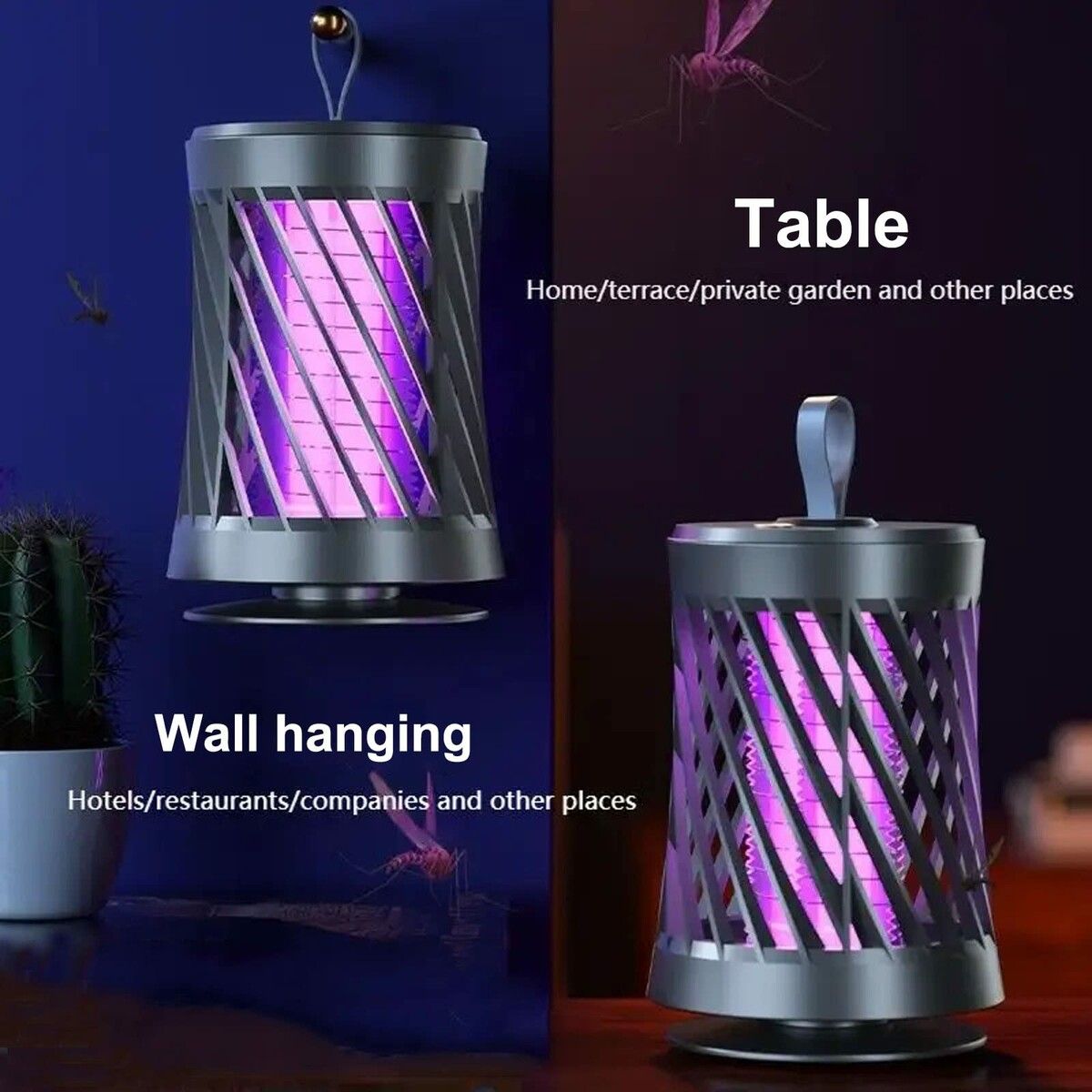 https://img.crazysales.com.au/products_pictures/312/312883_2710841_F.jpg