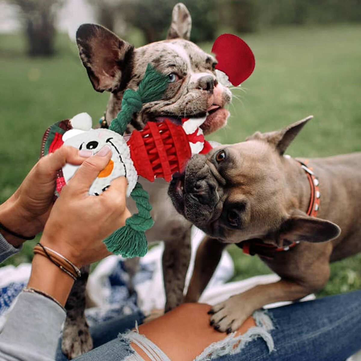 https://img.crazysales.com.au/products_pictures/312/312979_2711760_F.jpg