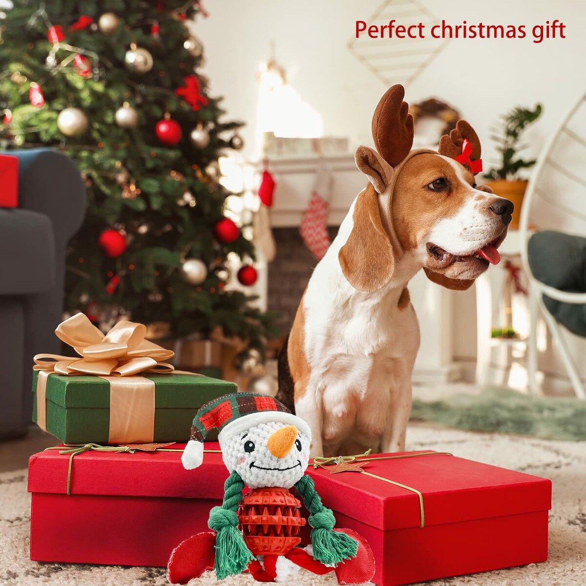 https://img.crazysales.com.au/products_pictures/312/312979_2711763_F.jpg