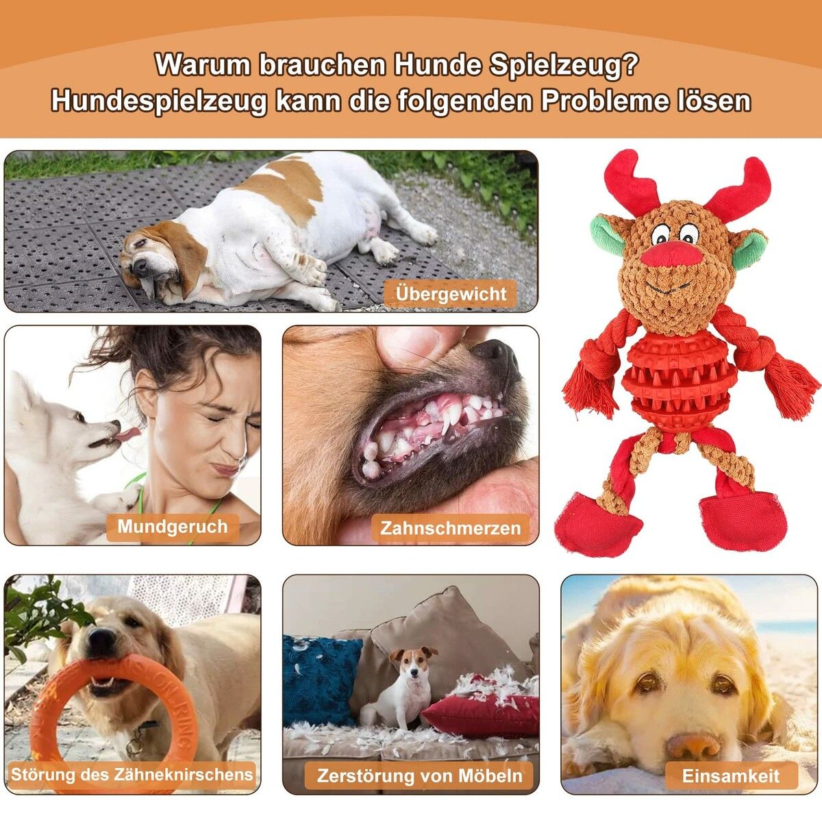 https://img.crazysales.com.au/products_pictures/312/312980_2711768_F.jpg