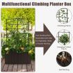 Raised Garden Bed with Trellis for Climbing Plants/ Basket Plants