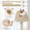 Multi-Layer Wooden Cat Tree with Plush Perch for Kitten