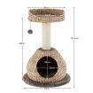 Cat Activity Tree with Jump Platform and Scratching Post for Kittens