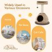 Cat Activity Tree with Jump Platform and Scratching Post for Kittens