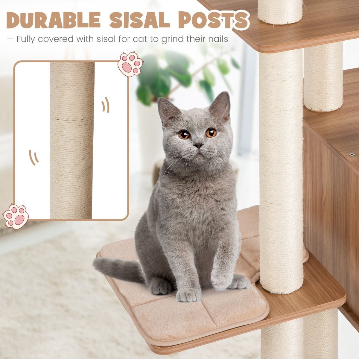 https://img.crazysales.com.au/products_pictures/3120/312069_2702785_F.jpg