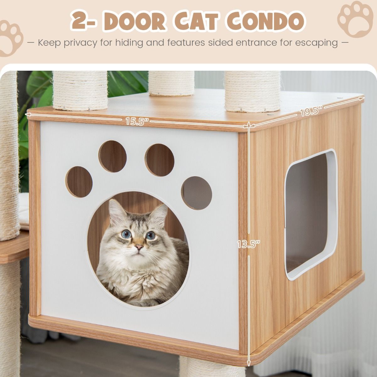https://img.crazysales.com.au/products_pictures/3120/312069_2702790_F.jpg