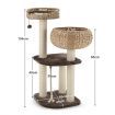 Rattan Cat Tree with Napping Percyh and Hanging Rope for Pet