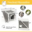 Feral Kitty Houses with Escape Doors and Wide Side Ladder for Pet