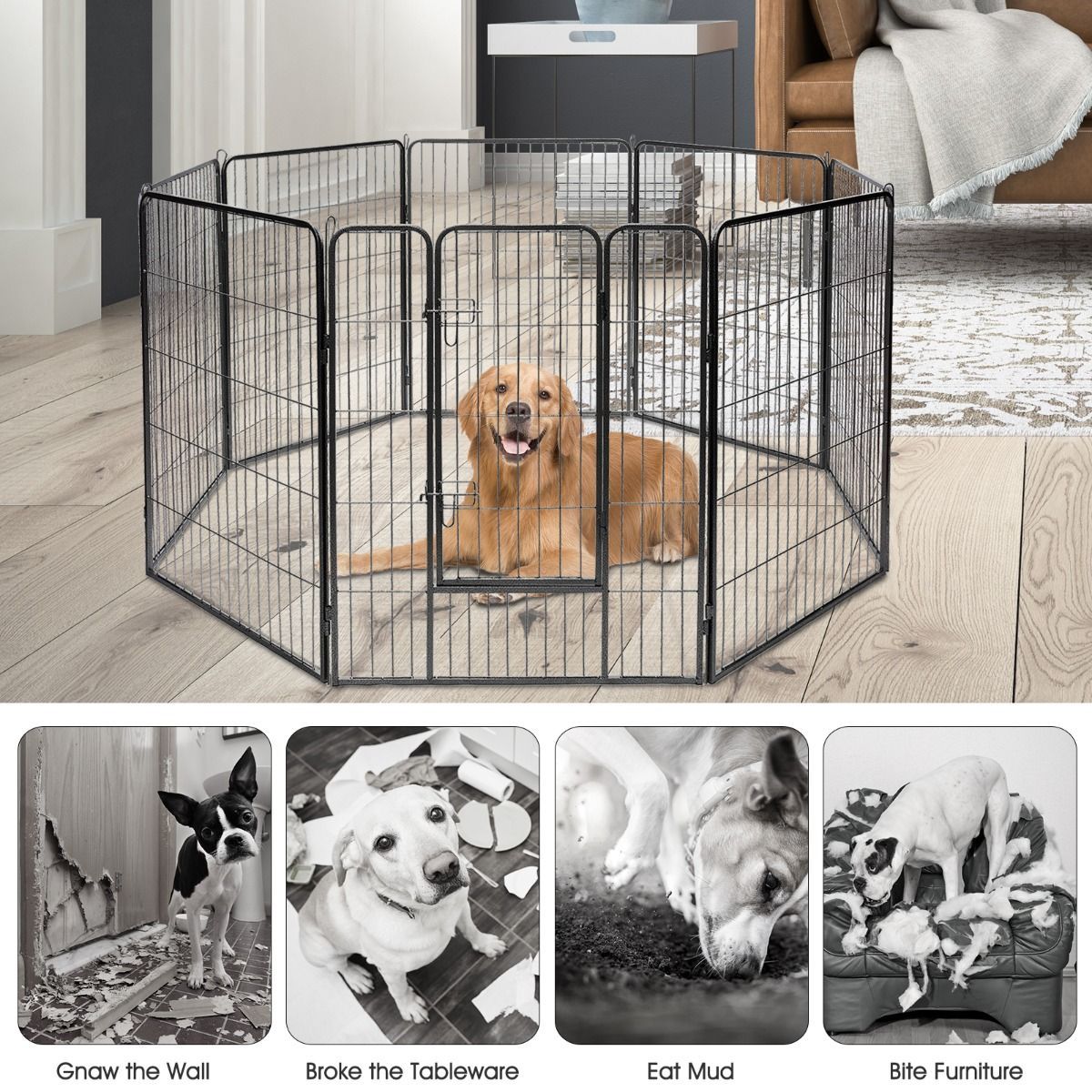 https://img.crazysales.com.au/products_pictures/3121/312105_2703026_F.jpg