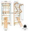 2.2m Pull-Up Wall Bars with Rings & Swing & Slide for Children & Adults