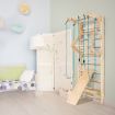 2.2m Pull-Up Wall Bars with Rings & Swing & Slide for Children & Adults