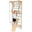 2.2m Pull-Up Wall Bars with Rings & Swing & Slide for Children & Adults