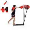 Inflatable Boxing Ball with Boxing Gloves & Air Pump for Kid