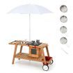 Outdoor Cooking Set Pretend Trolley wIth Removable Umbrella