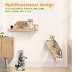 Wood Cat Bed Shelf Stair Wall Mounted Hammock Scratching Post Platform Perch Climbing Board Kitten Furniture Hanging Climber Play Gym