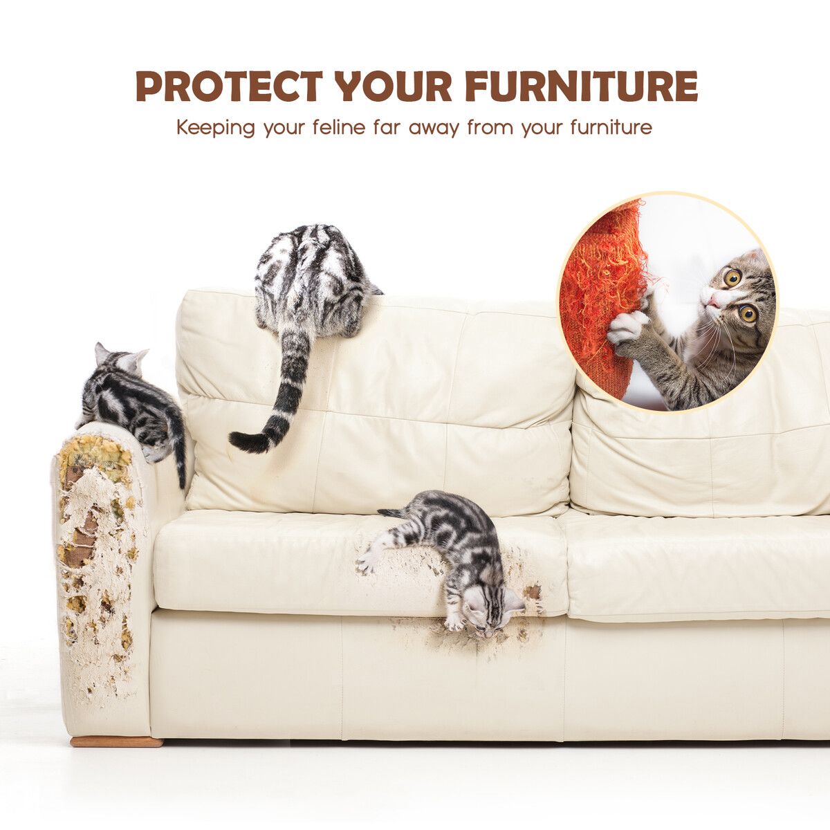https://img.crazysales.com.au/products_pictures/313/313875_2721242_F.jpg