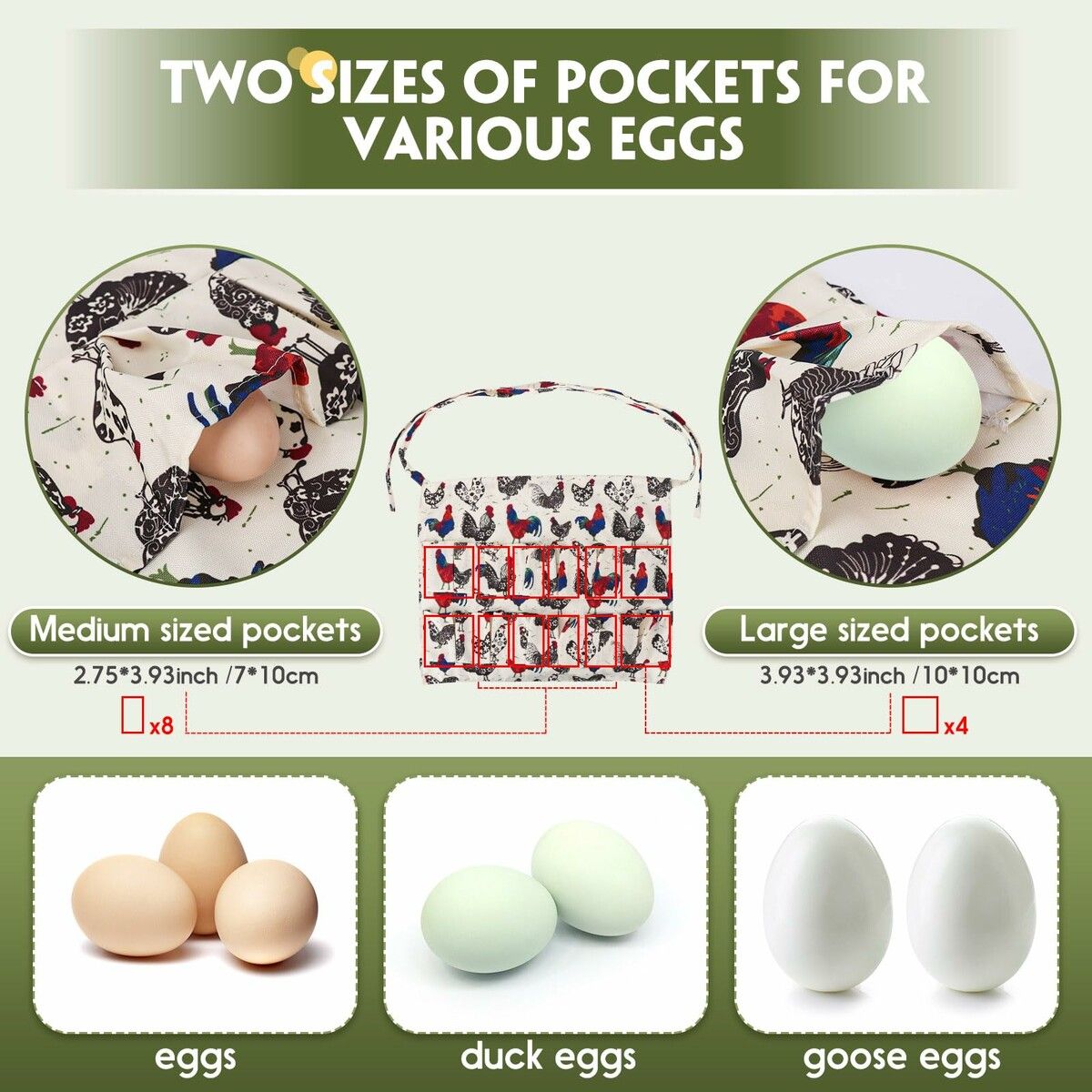 https://img.crazysales.com.au/products_pictures/313/313965_2722391_F.jpg