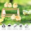 Mini Chick Perch with Mirror,Strong Bamboo Roosting Bar for coop and brooder,Training Perch for Baby Chicks,El Pollitos,La Pollita,Easy to Assemble and Clean,Fun Toys for Chick