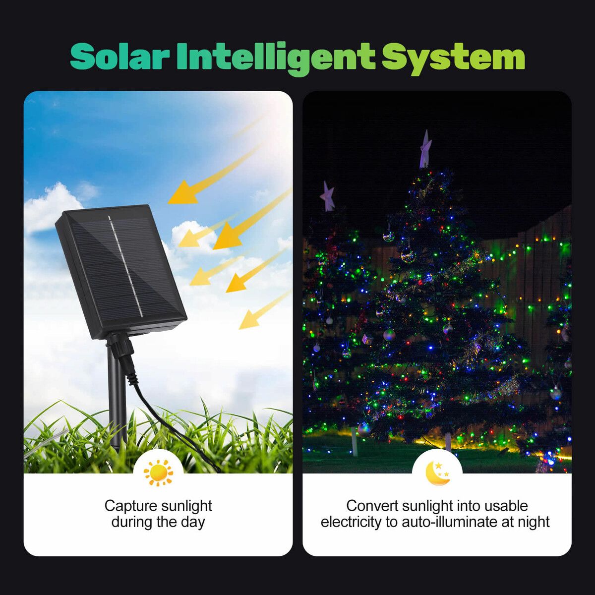 https://img.crazysales.com.au/products_pictures/314/314078_2724052_F.jpg