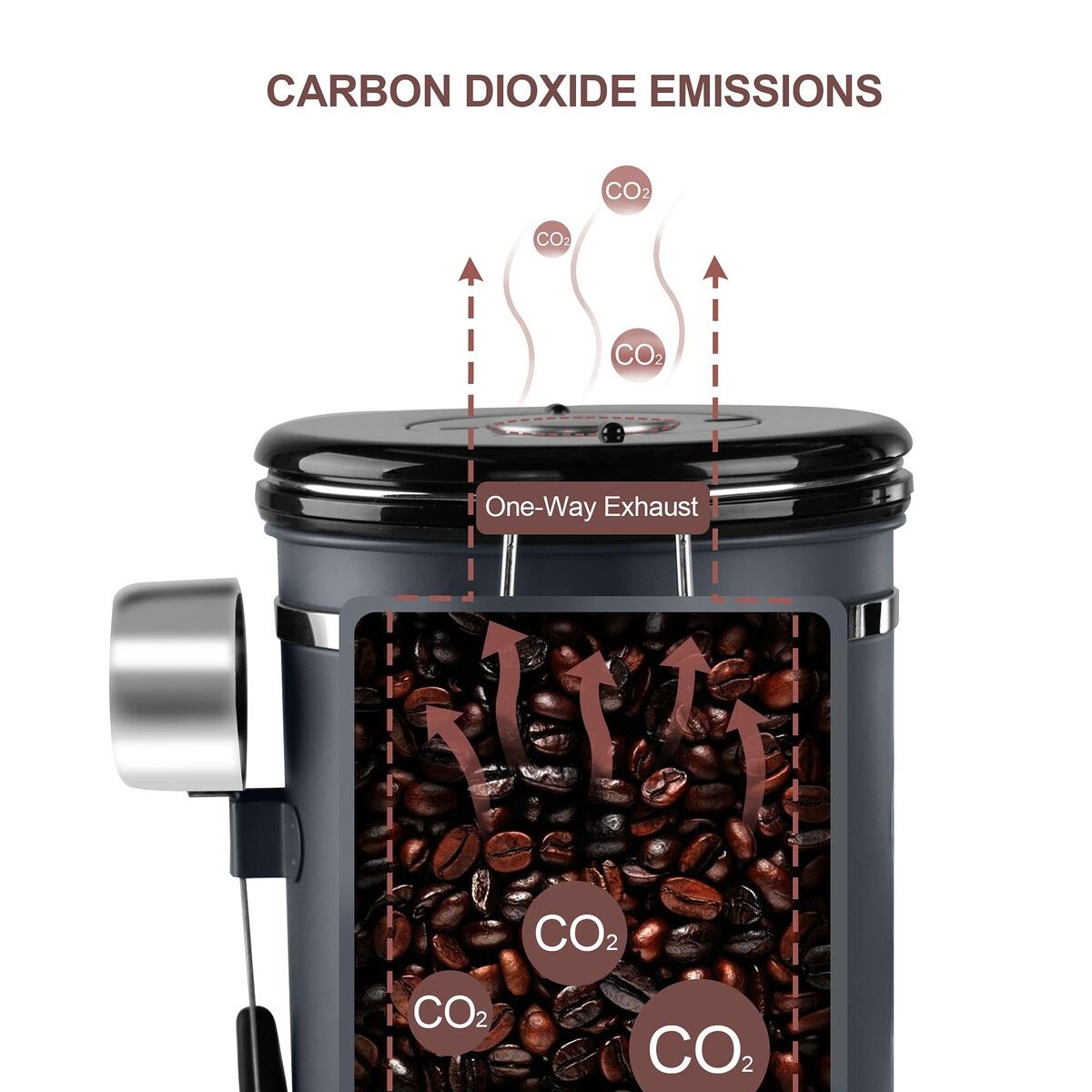 https://img.crazysales.com.au/products_pictures/314/314104_2724219_F.jpg