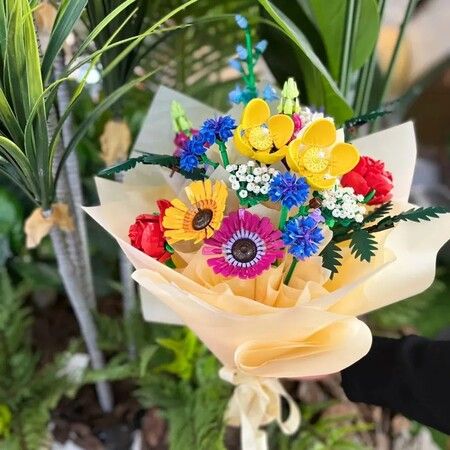 https://img.crazysales.com.au/products_pictures/314/314204_2725393_F.jpg
