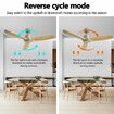 Ceiling Fan with Remote Control Electric Cooling Air Ventilation Overhead Quiet Modern Indoor 3 Solid Wood Blades 5 Speed Timer 132cm