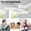 Ceiling Fan with Light Remote Control Overhead Electric Cooling Air Ventilation Quiet White Modern LED Lamp Indoor 3 ABS Blades 5 Speed Timer 132cm