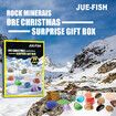 Rock Collection Advent Calendar 2023 with 24 Gemstones, Complete Gem and Fossil Collection Christmas Countdown Calendar