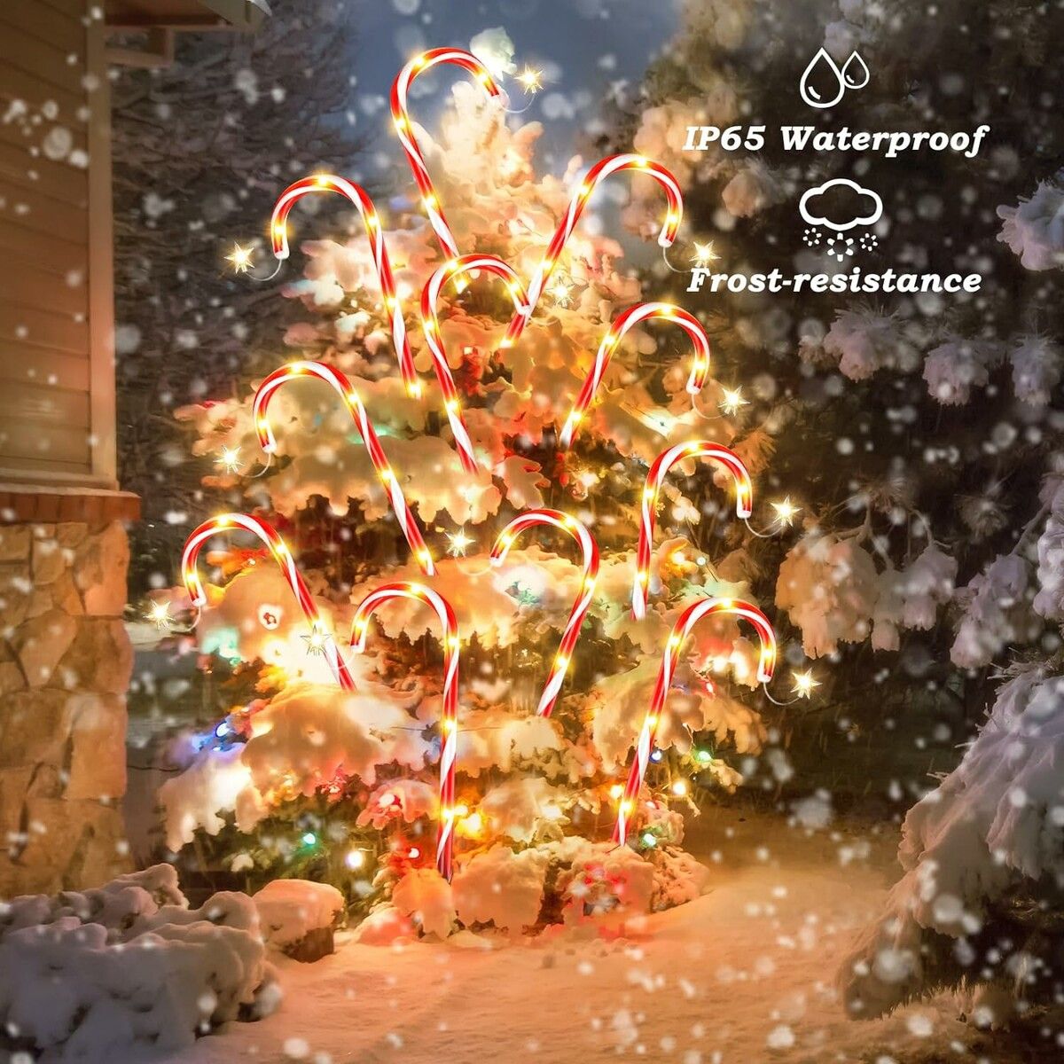 https://img.crazysales.com.au/products_pictures/314/314642_2731080_F.jpg
