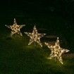 Stockholm Christmas Lights Path Lights Starry Wire Star Light Warm White 7 Flashing Effects and Steady Glow Memory Controller 5m Lead Wire 300 LEDs