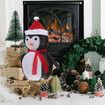 30x70cm Lighted Penguin 40-LED Lighted, Battery Operated Lawn Decoration  Christmas Decorations Indoor Outdoor