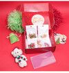 CHRISTMAS Charm Bracelet Making Kit DIY Jewelry Making Supplies with BEAR Beads, Pendant, Bracelets, Necklace Cords for Teens Girls