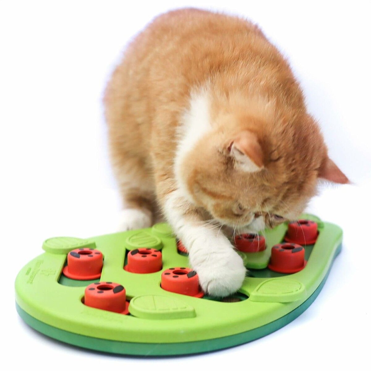 Interactive Cat Puzzle Feeder, Treat Dispenser Cat Toy Cat Brain Stimulation Toys Slow Feeder Cat Enrichment Toys for Indoor Cats